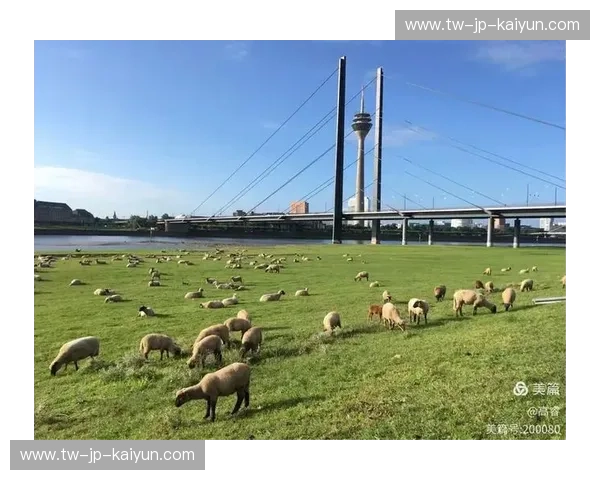 莱茵河畔的冰与火之歌:当“山羊”遇上“斑马”,谁才是鲁尔区的灵魂宿敌?